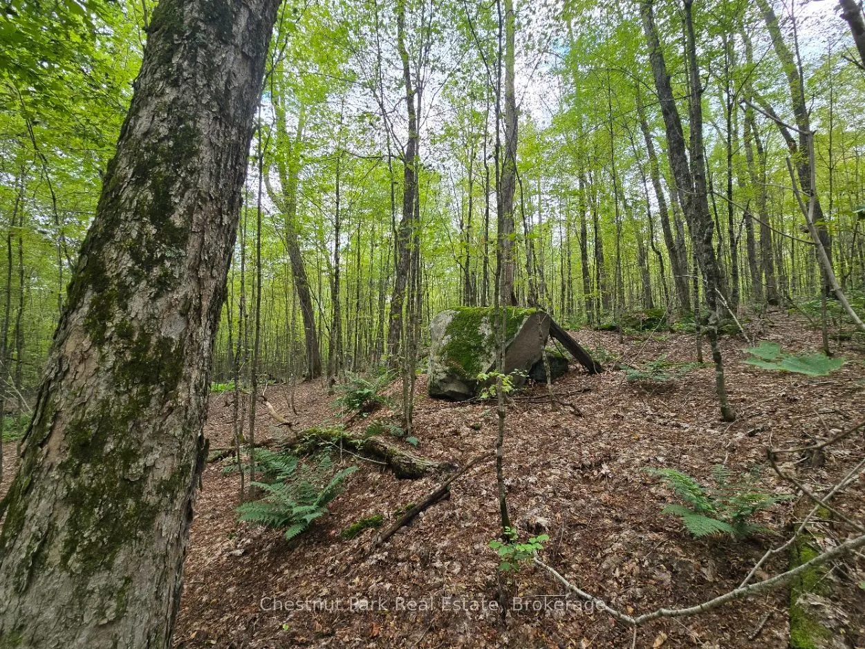 00 Old Track Road