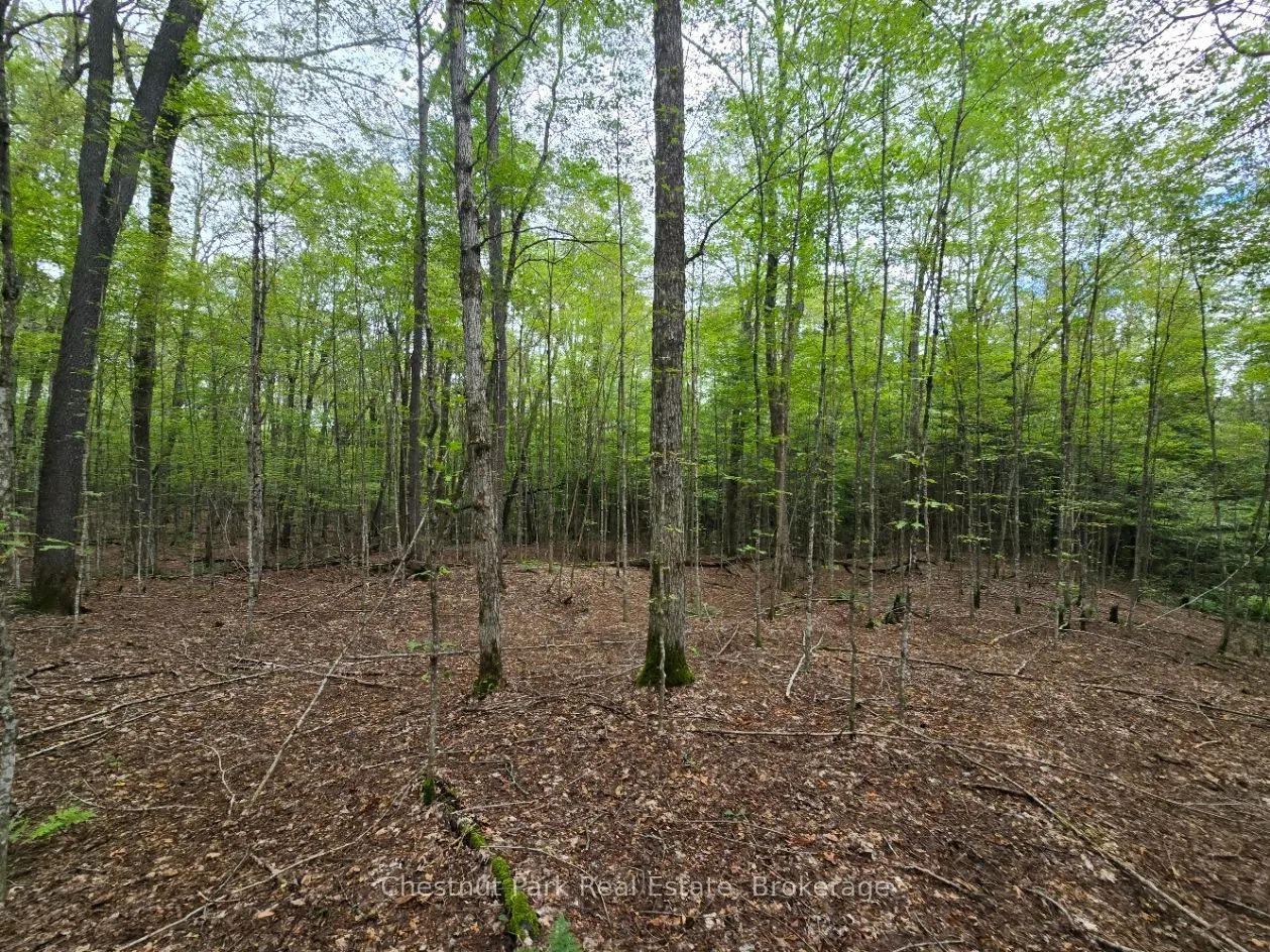 00 Old Track Road