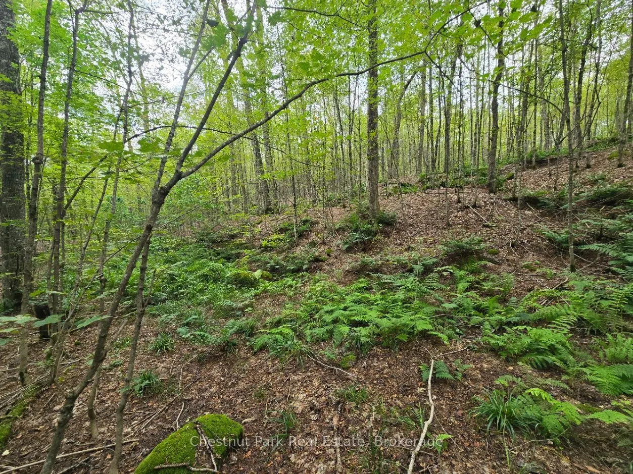 00 Old Track Road