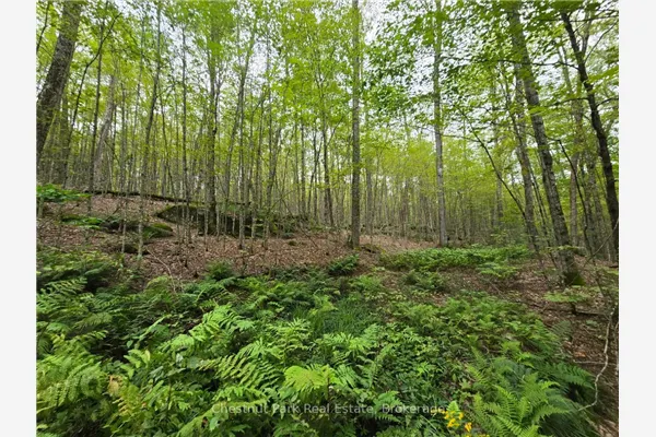 00 Old Track Road