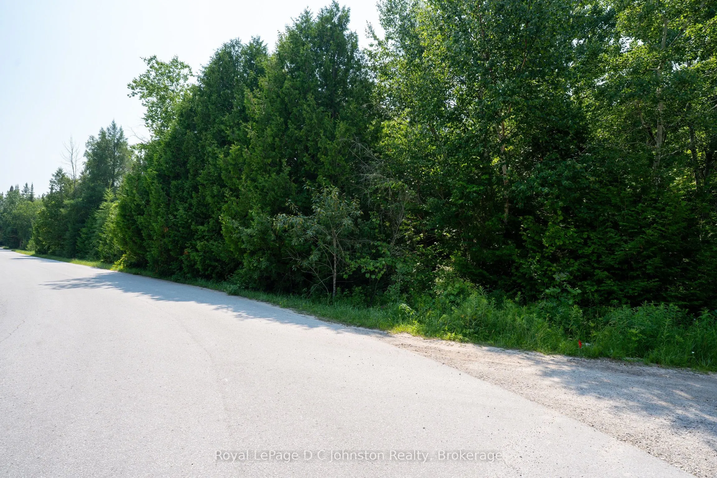 89 Sprucedale Drive
