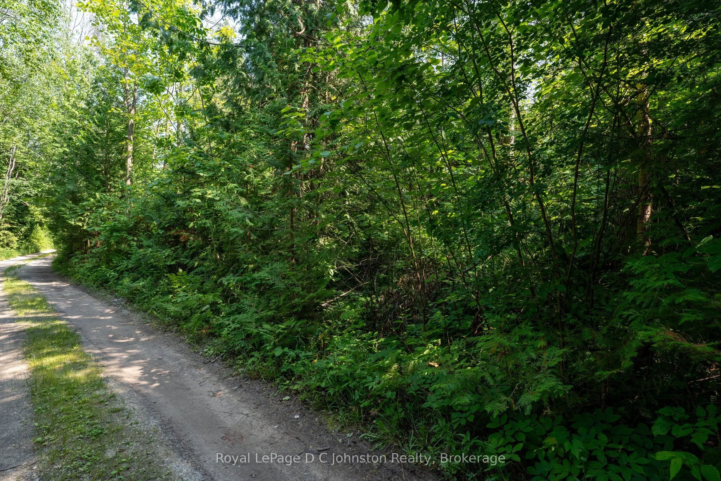 89 Sprucedale Drive