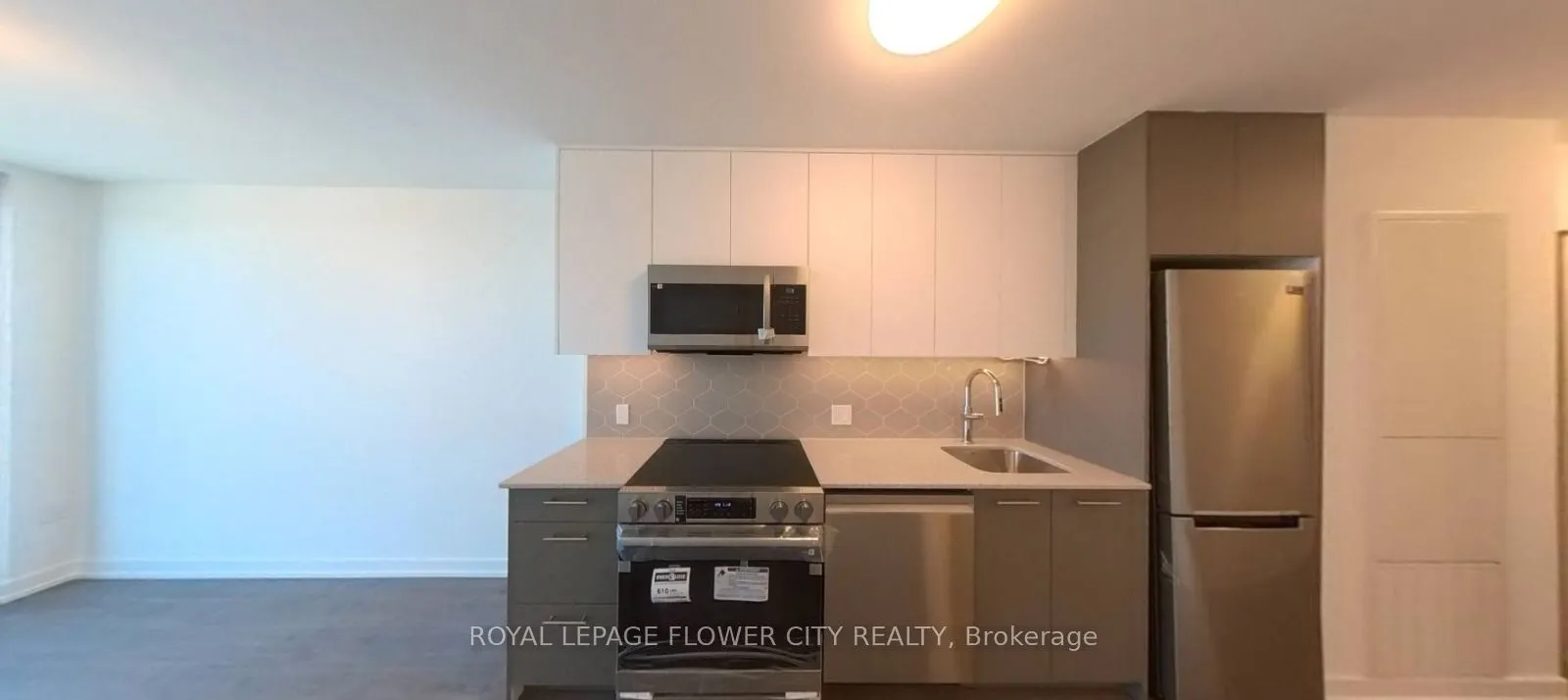 30 Francis Street #3505