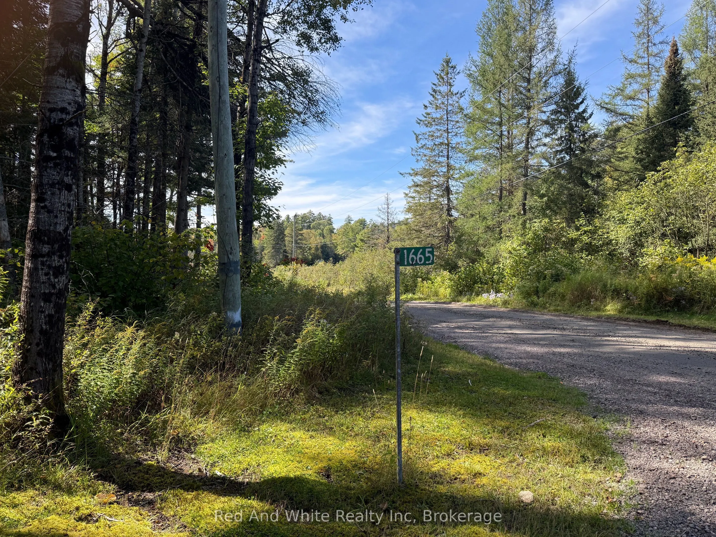 1665 Nelson Lake Road