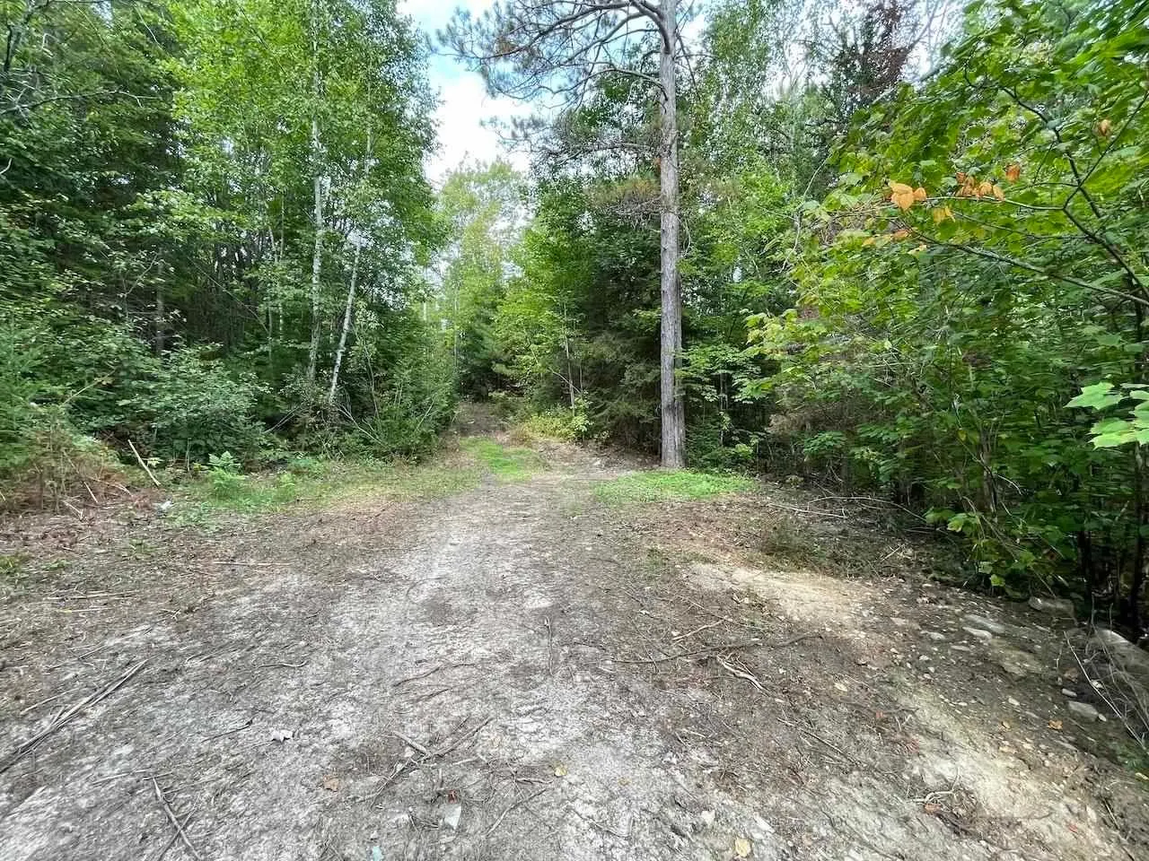 4267 Highway 17