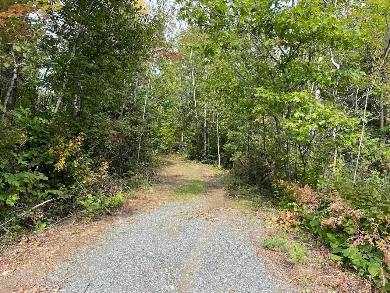 4267 Highway 17