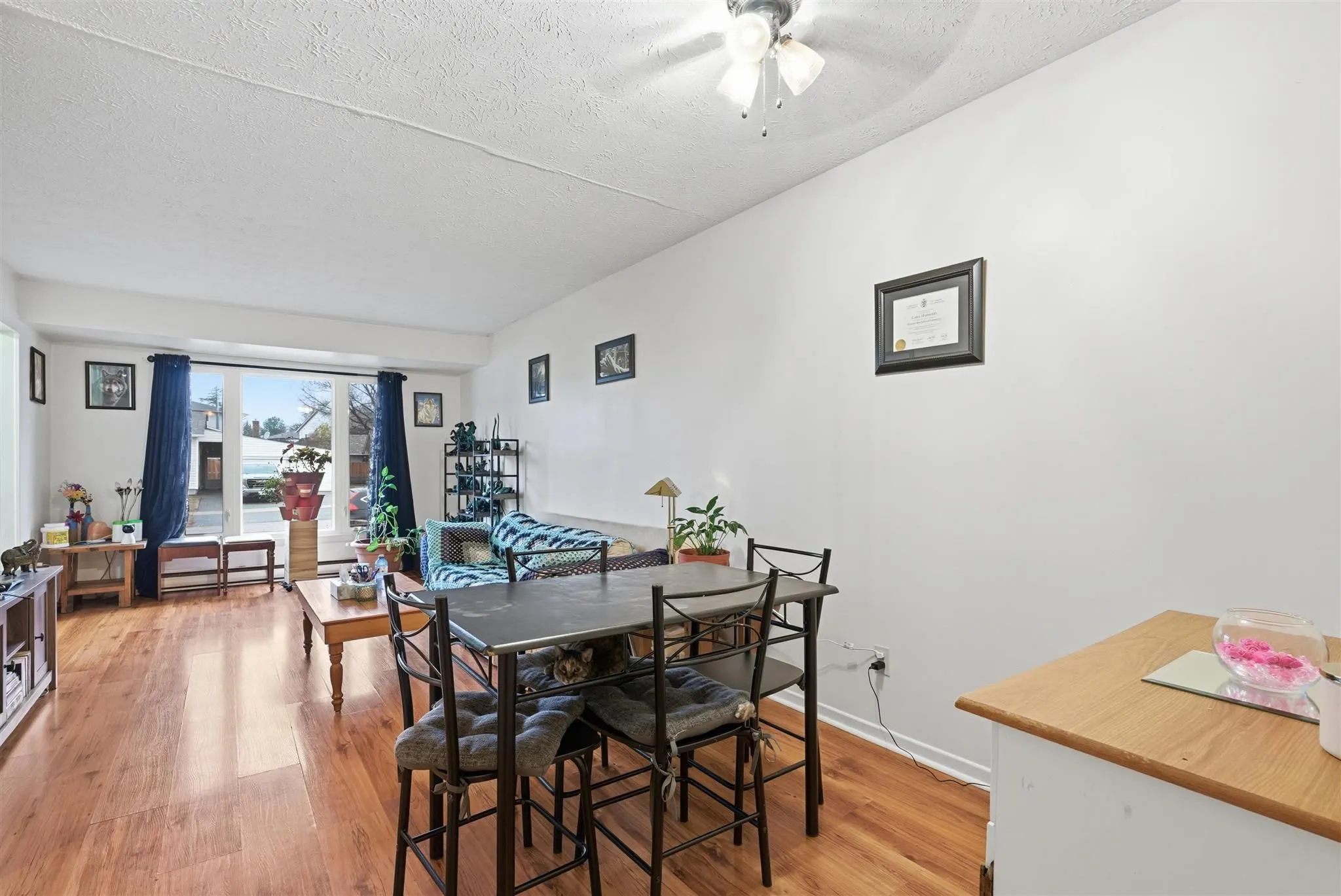 29 Laurier Road