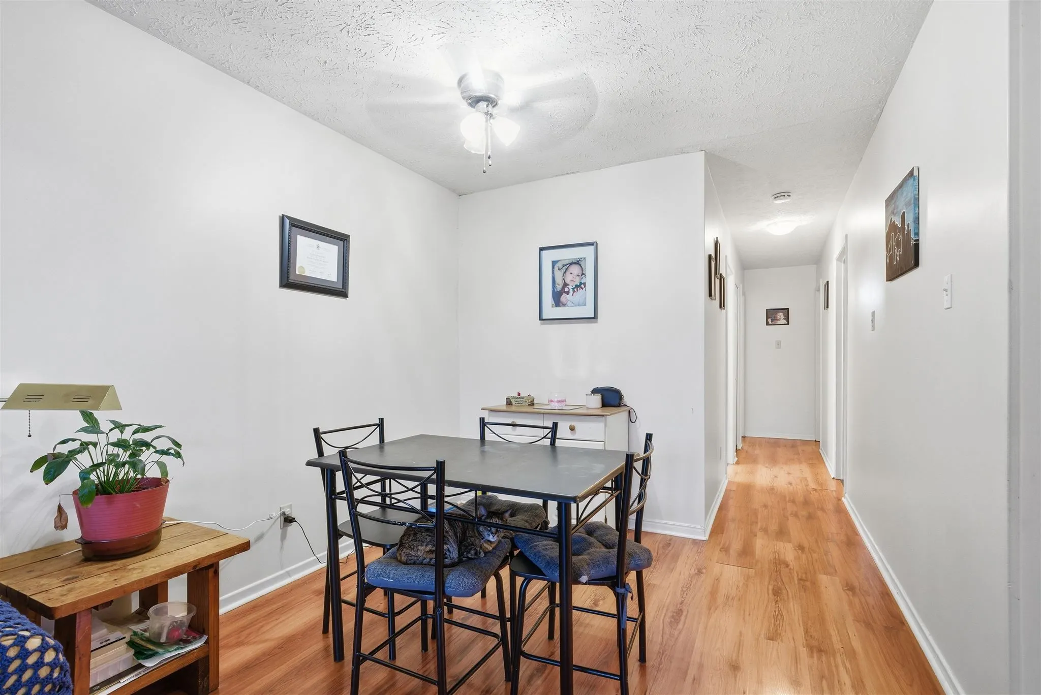 29 Laurier Road