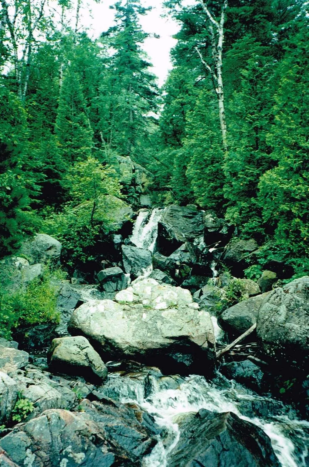 Pt Sec 18,19 North Gros Cap Road