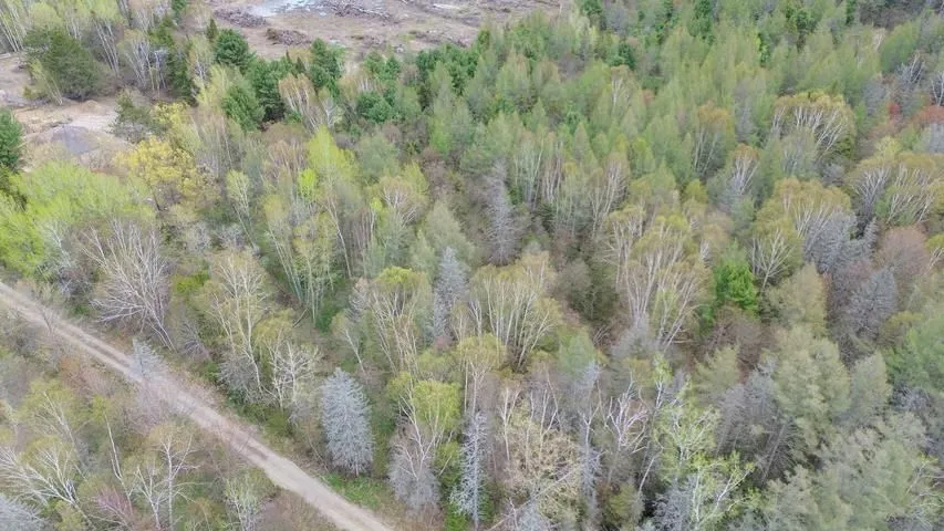 Lot 5 Giguere Road