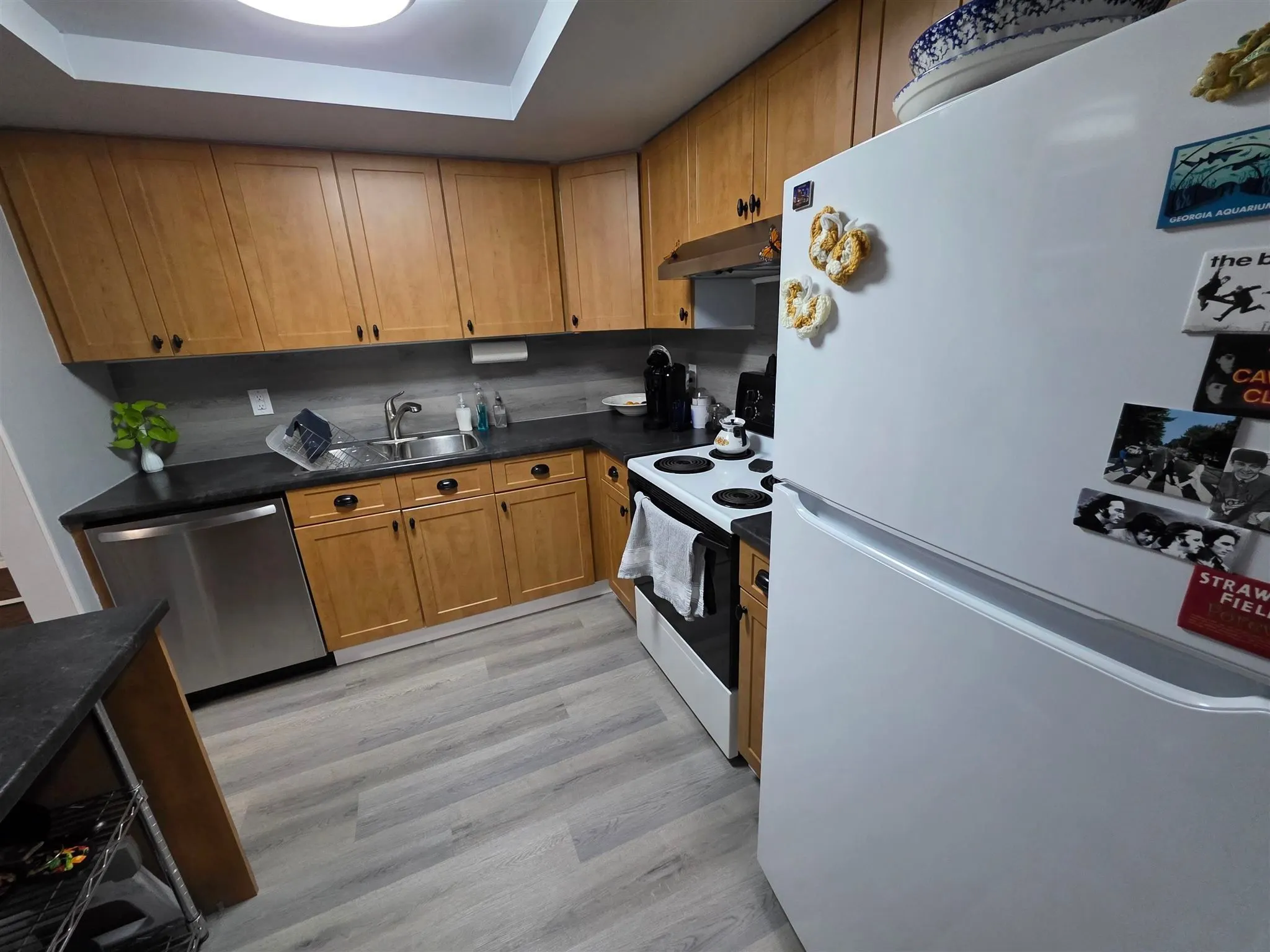 303 MacDonald Avenue #208