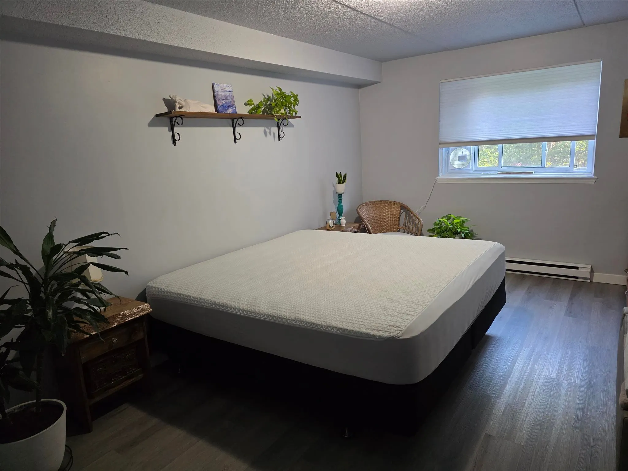 303 MacDonald Avenue #208