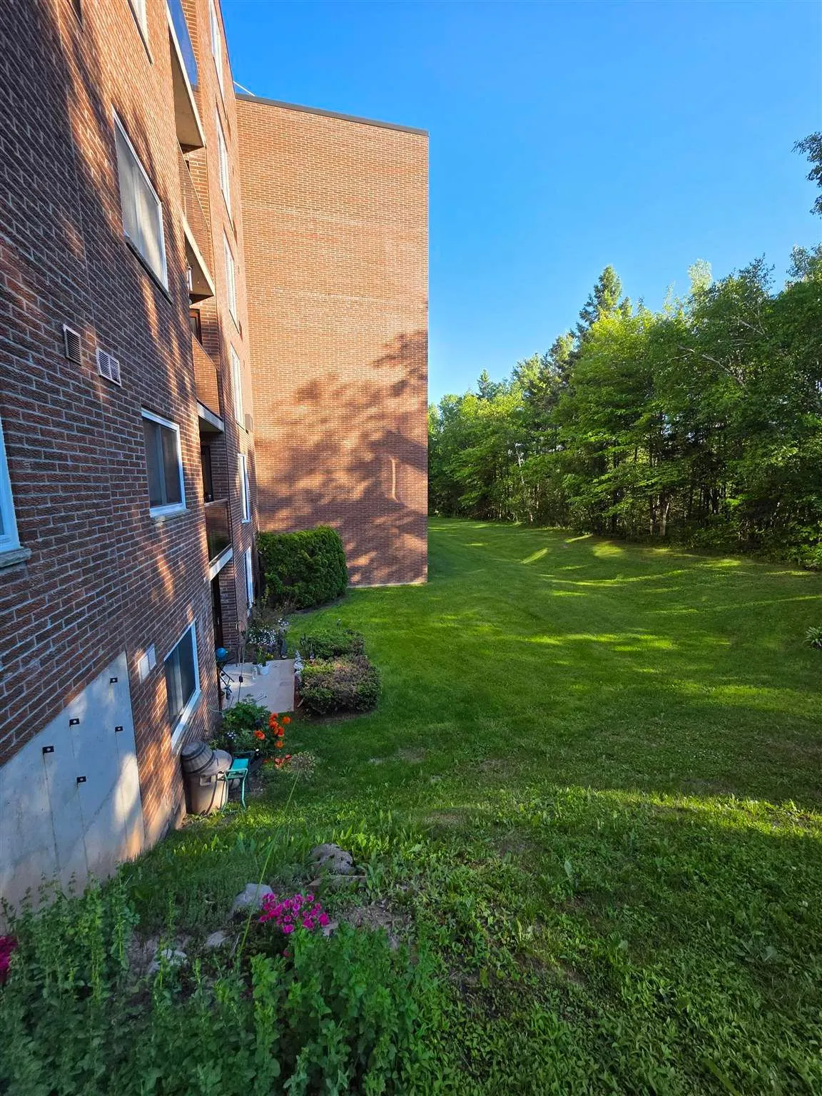 303 MacDonald Avenue #208