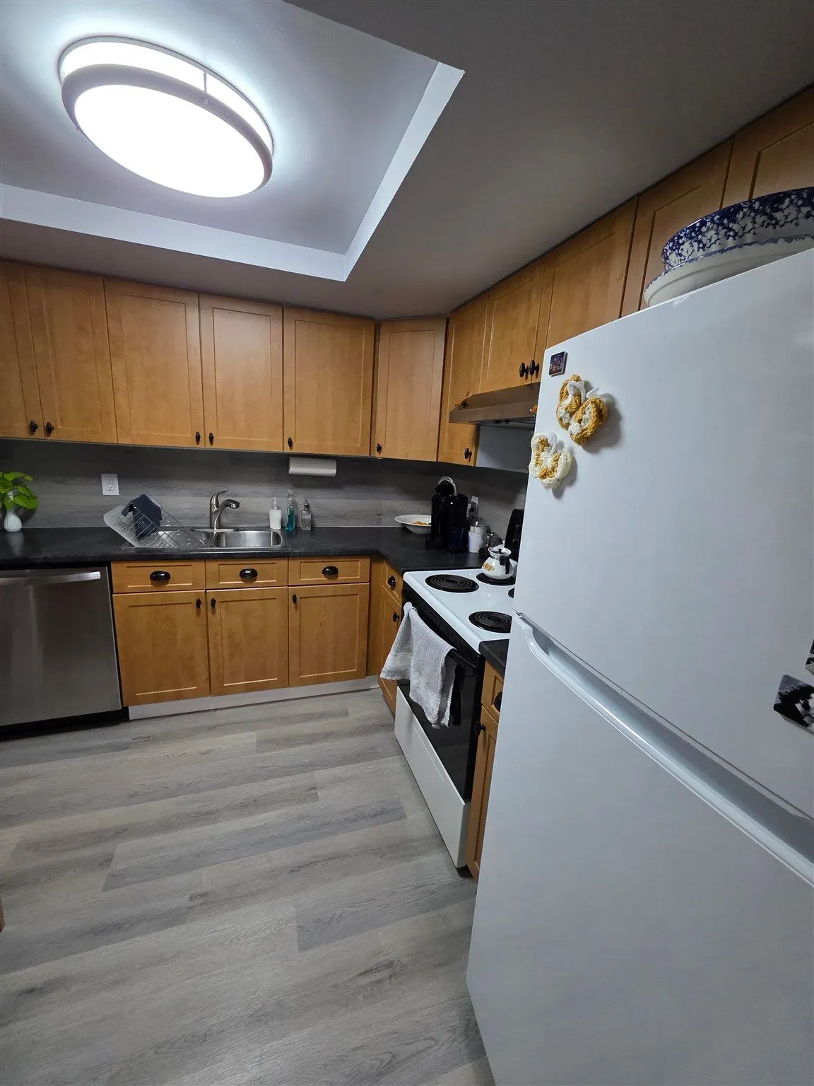 303 MacDonald Avenue #208