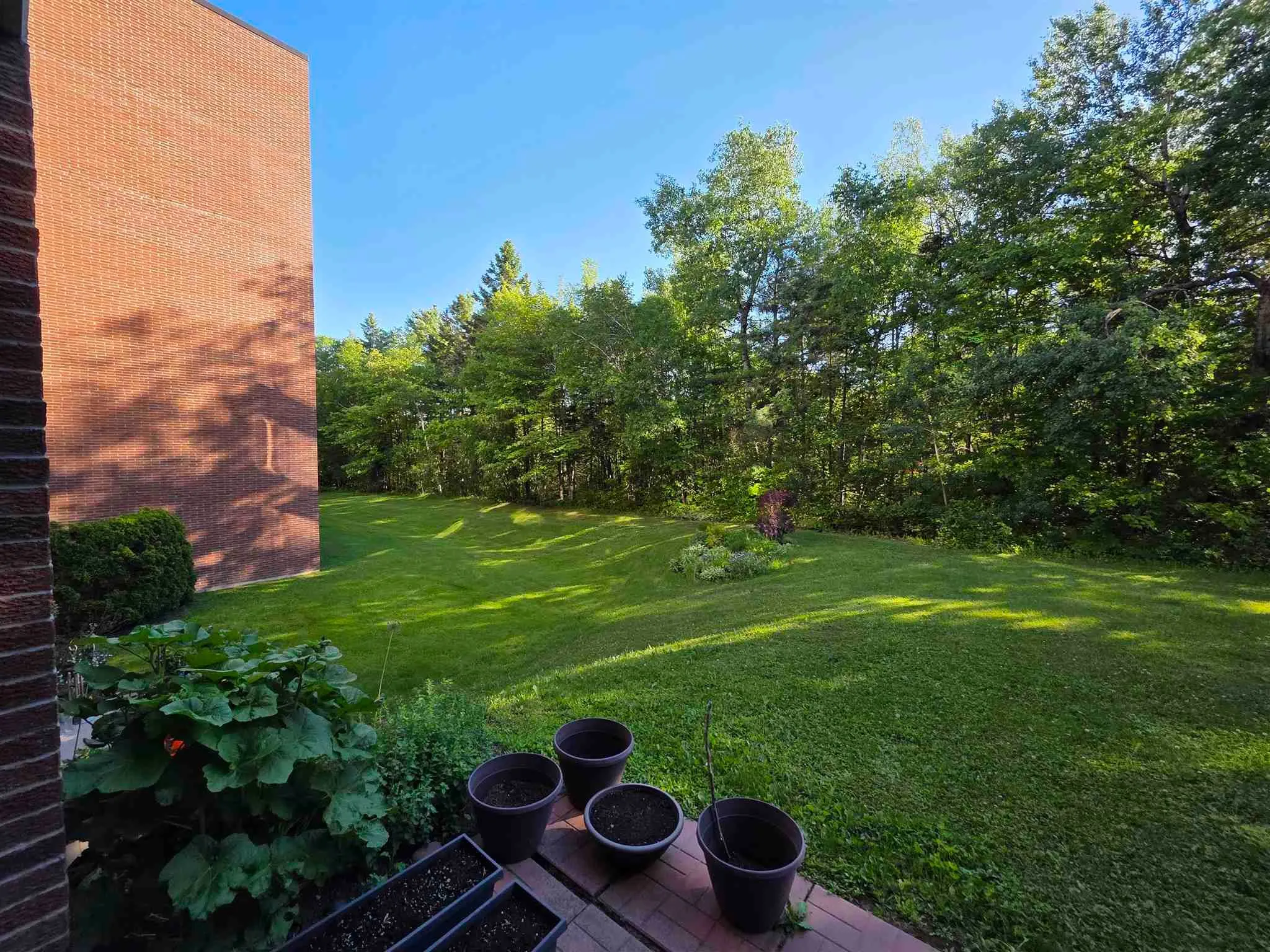 303 MacDonald Avenue #208