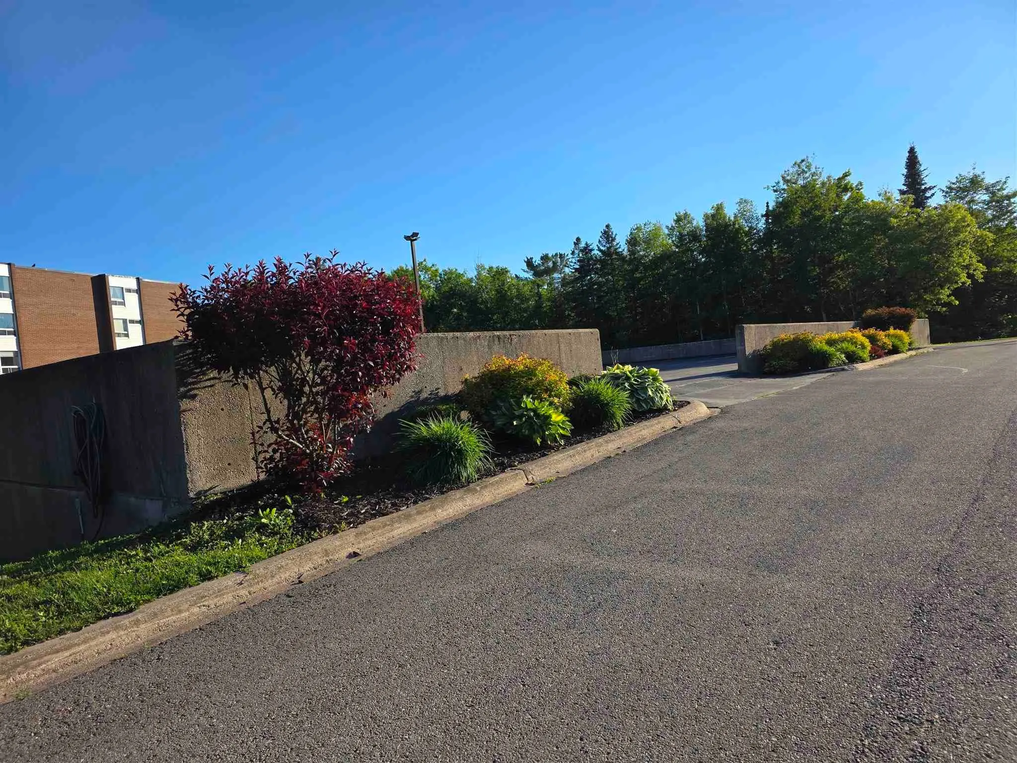 303 MacDonald Avenue #208