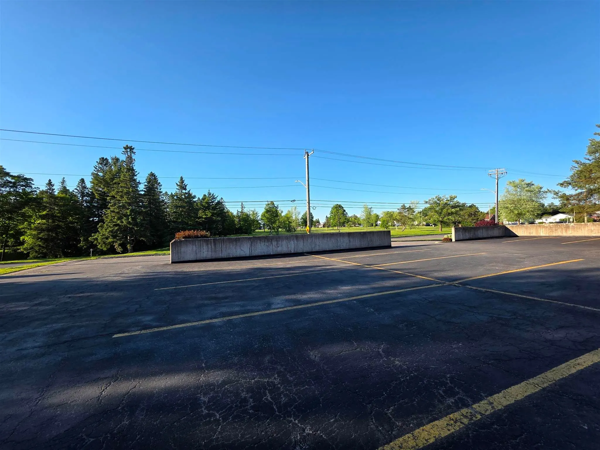 303 MacDonald Avenue #208