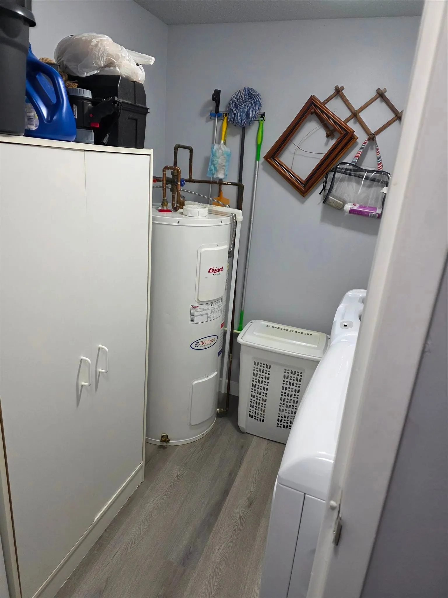 303 MacDonald Avenue #208