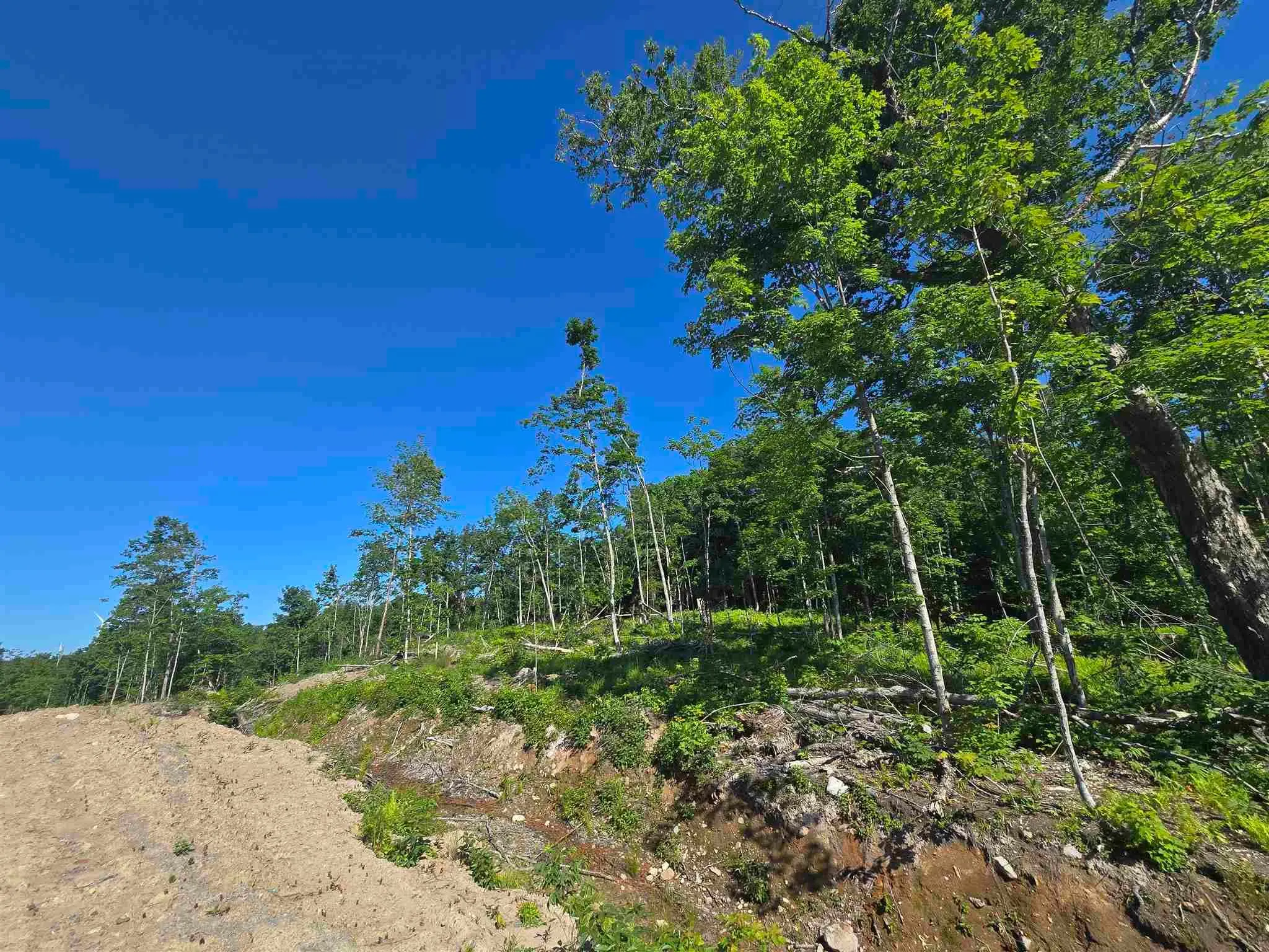 417 Creek Road