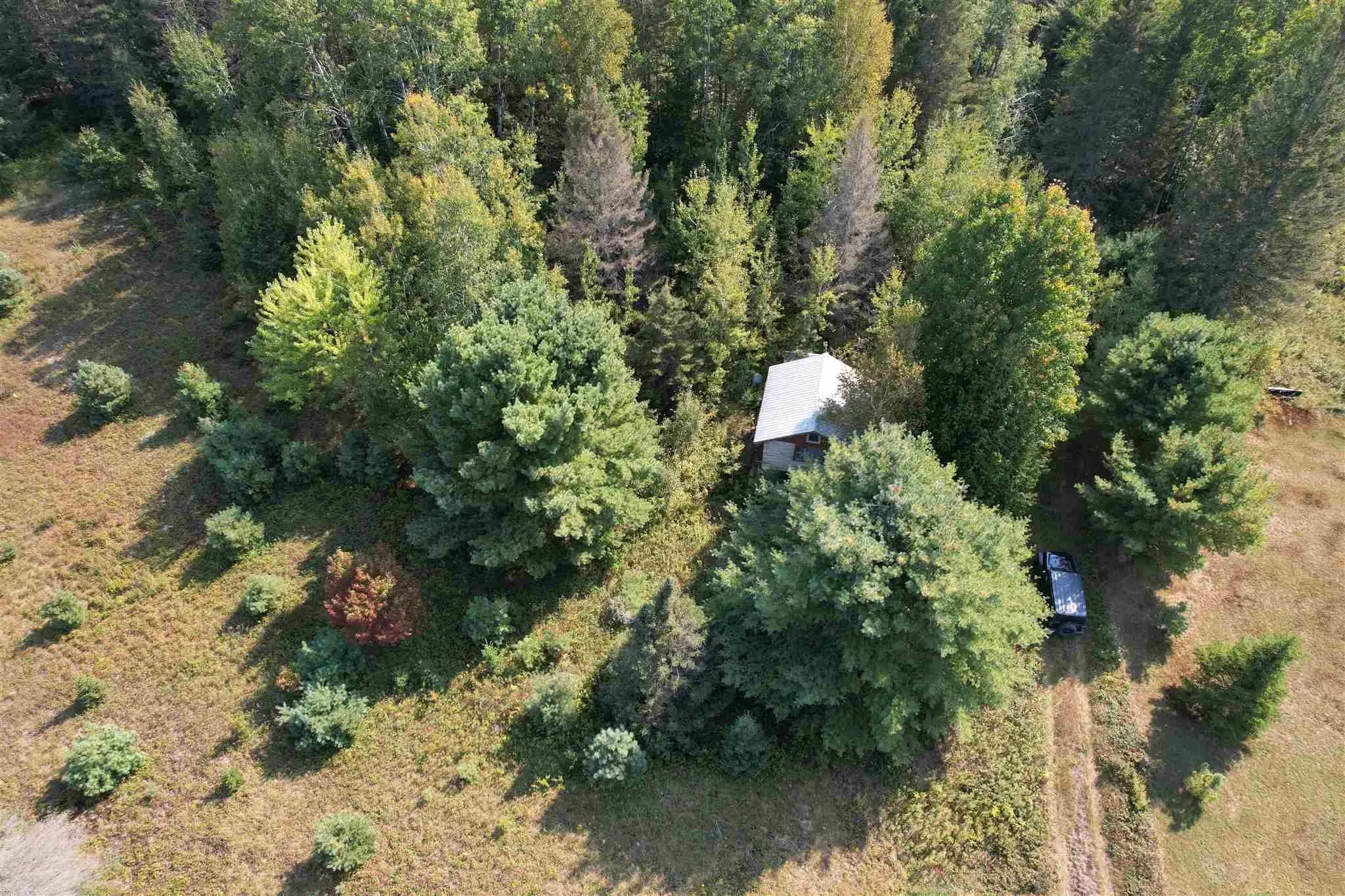 969 Chevis Road