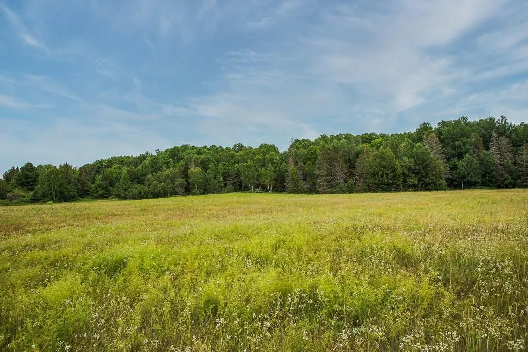 Rock Lake Road