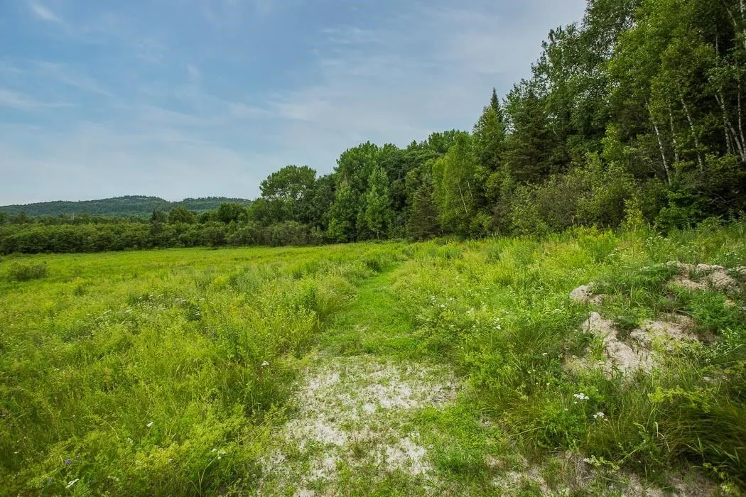 Rock Lake Road