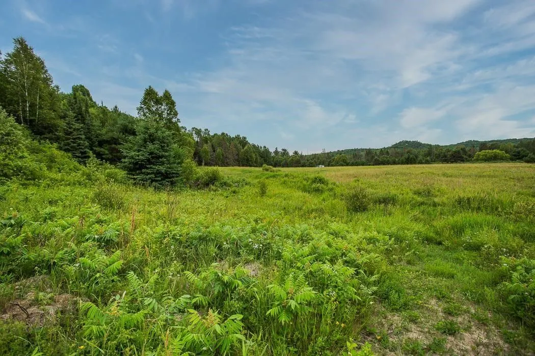 Rock Lake Road
