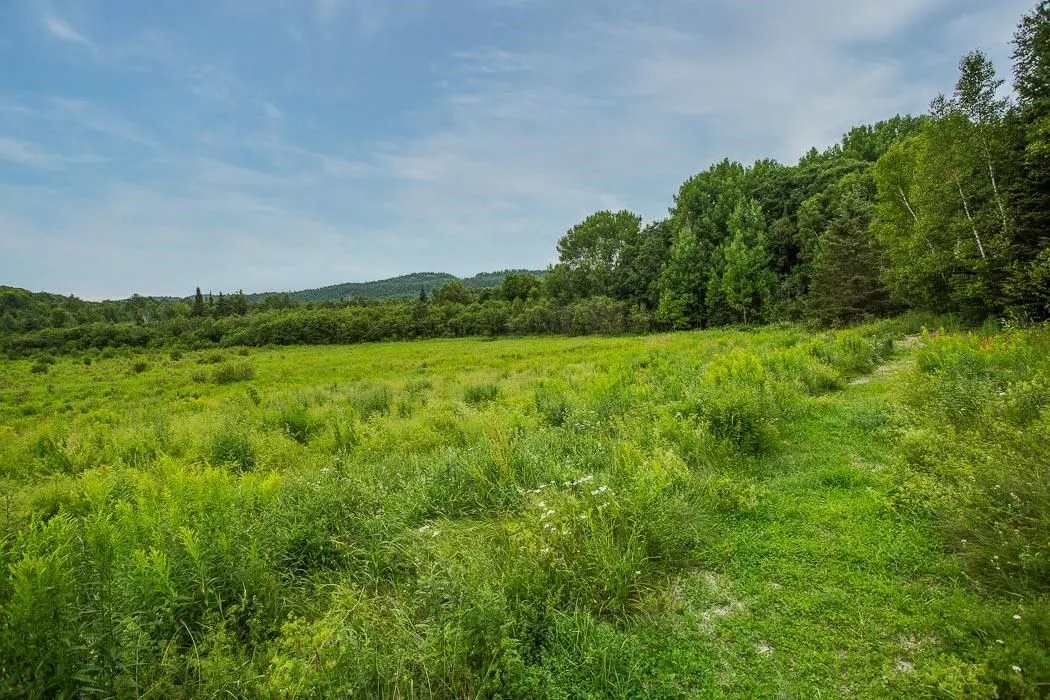 Rock Lake Road