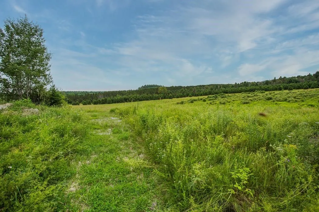 Rock Lake Road
