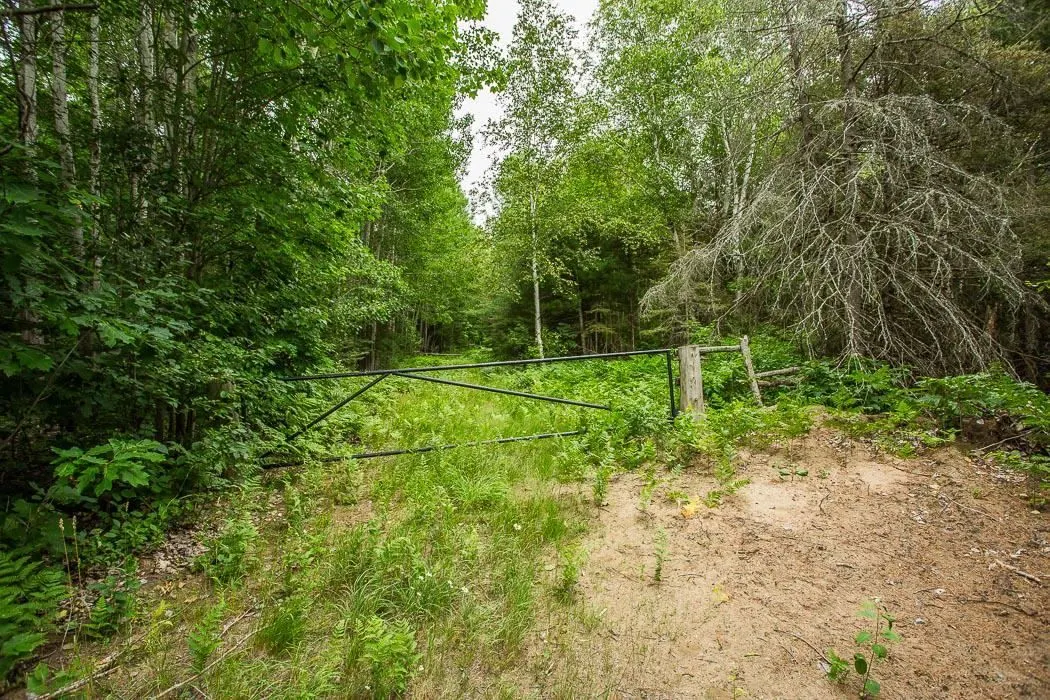 Rock Lake Road