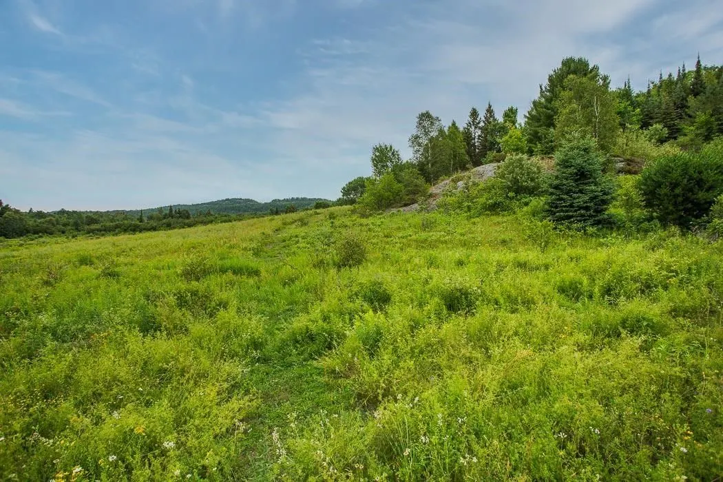 Rock Lake Road