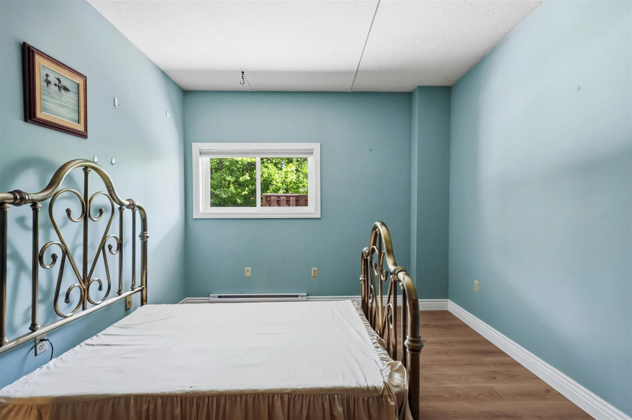 313 MacDonald Avenue #211