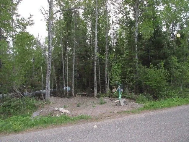 LOT 43 Lakeshore Drive S