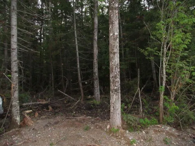 LOT 43 Lakeshore Drive S