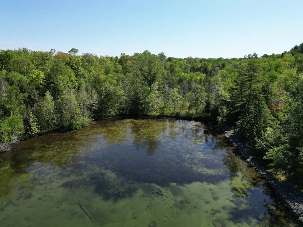 1016 Lauzon Village Road