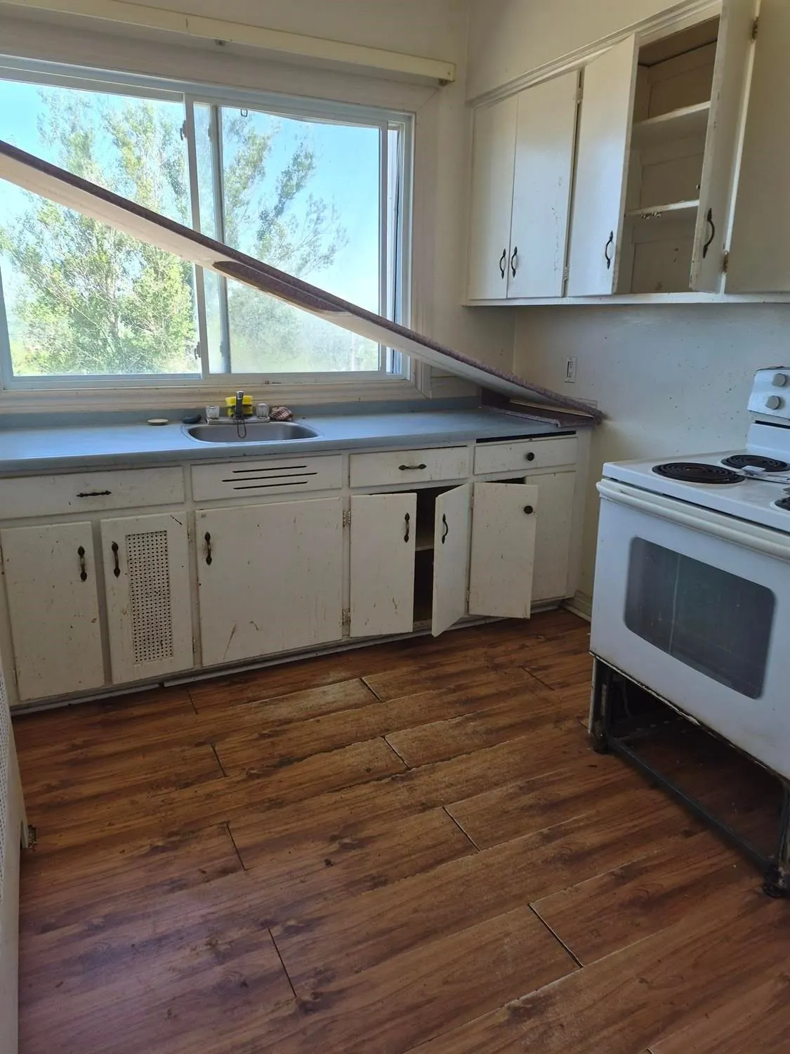 9-102 Hutchison Avenue