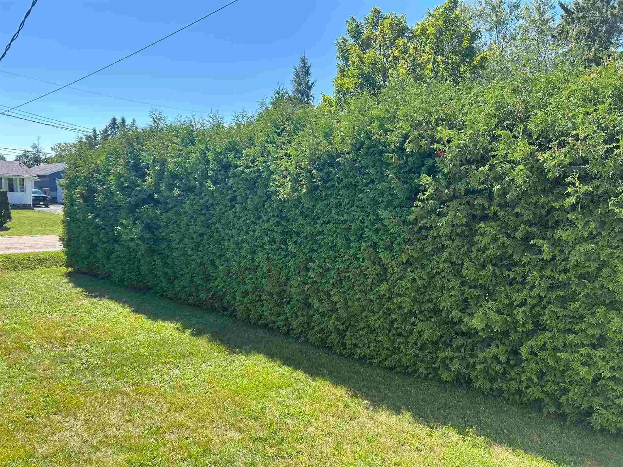 54 Killarney Road