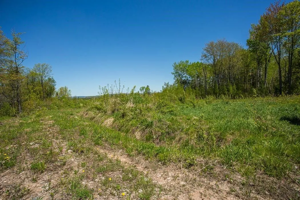 76 Calabogie Road