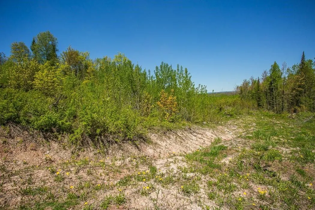 76 Calabogie Road