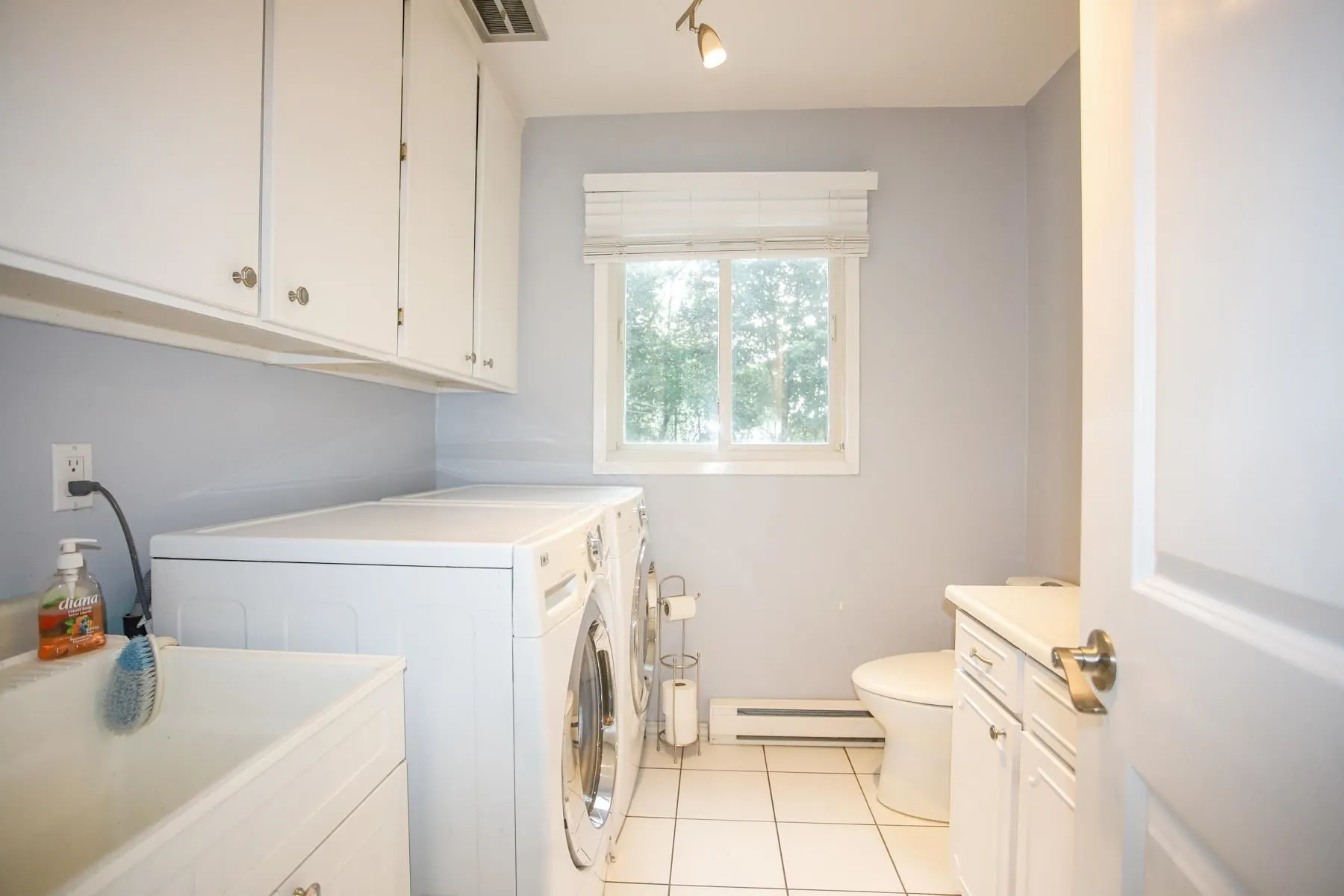 4 Silver Birch Drive
