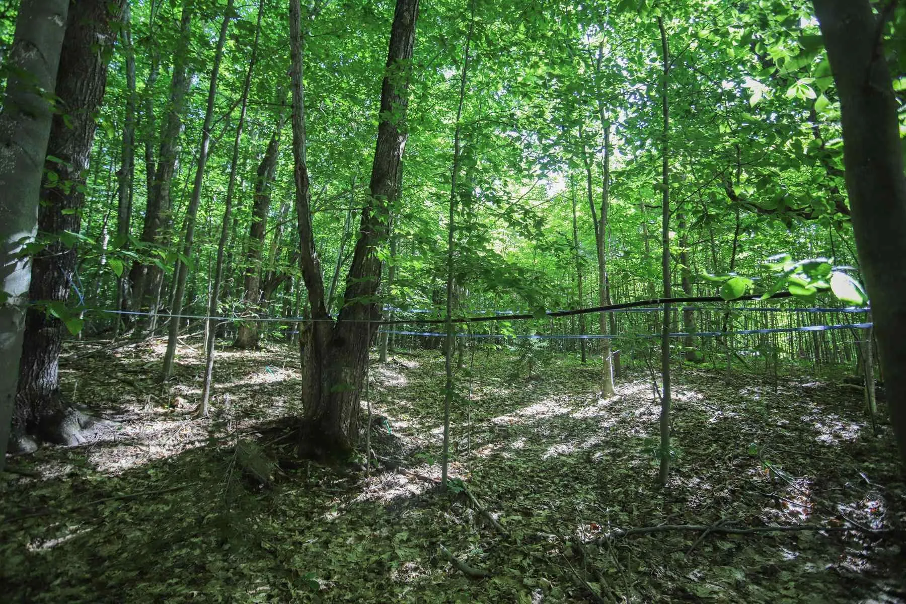 Lot 6 Hilton Road