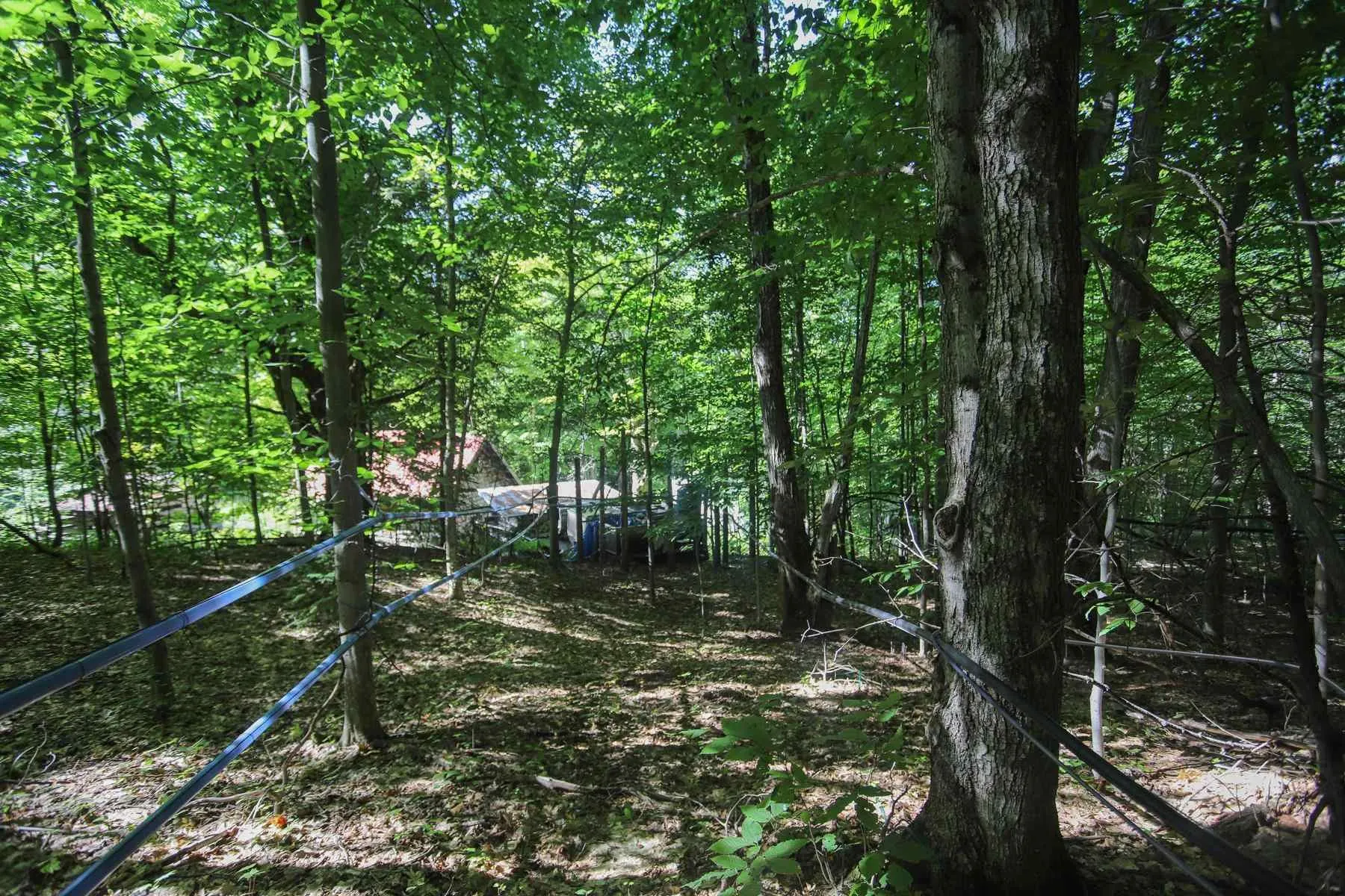 Lot 6 Hilton Road