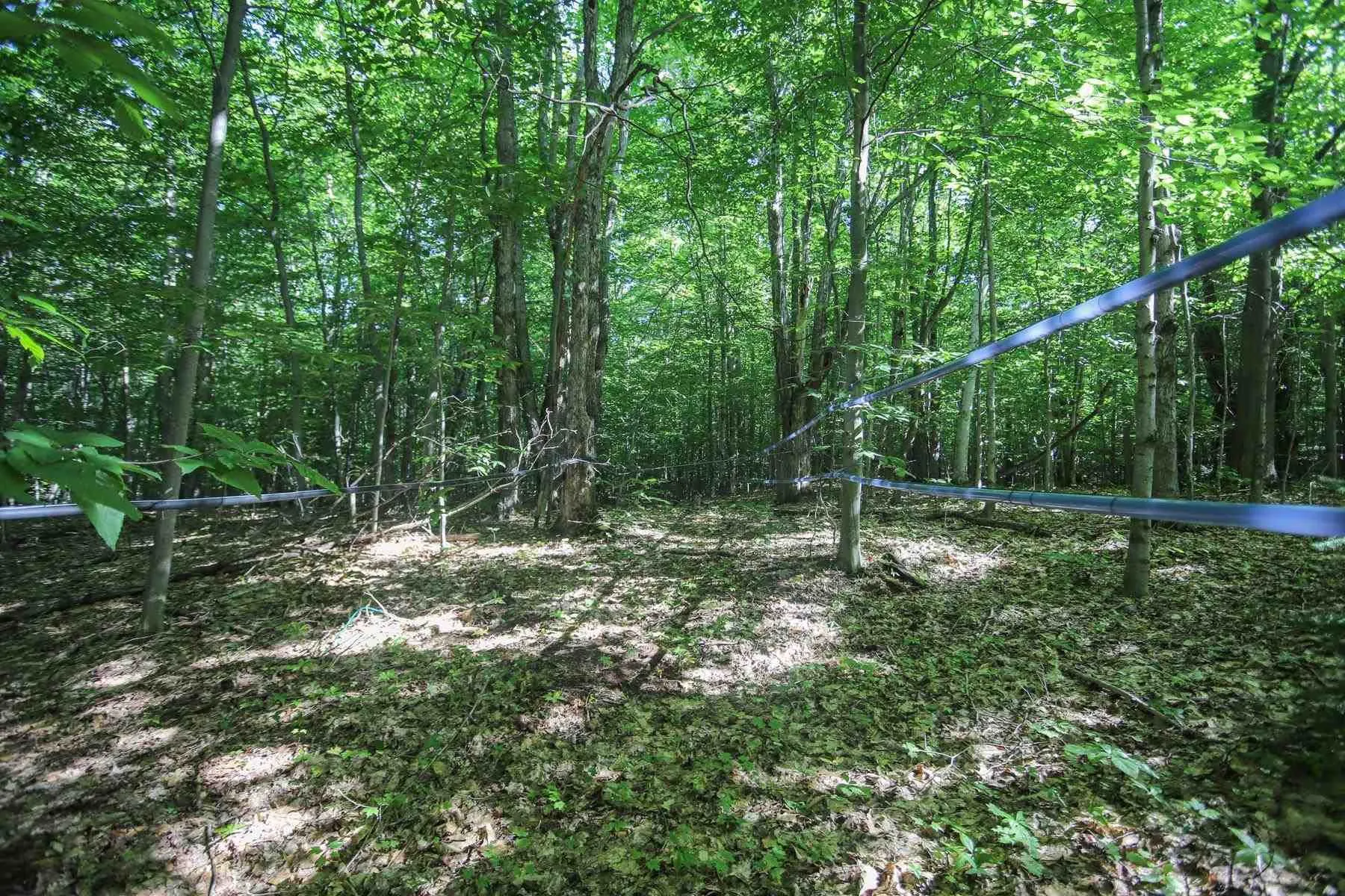 Lot 6 Hilton Road
