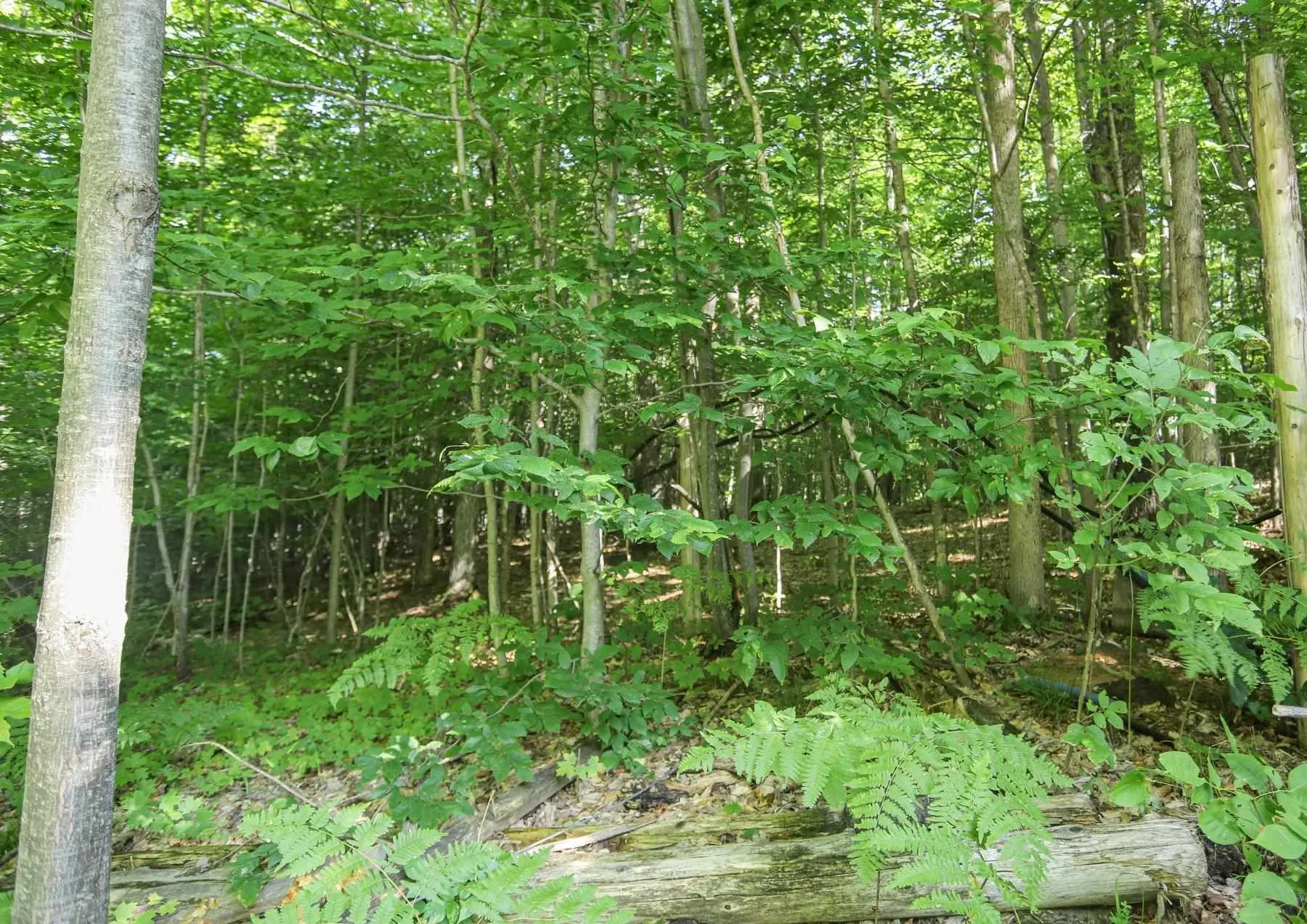 Lot 6 Hilton Road