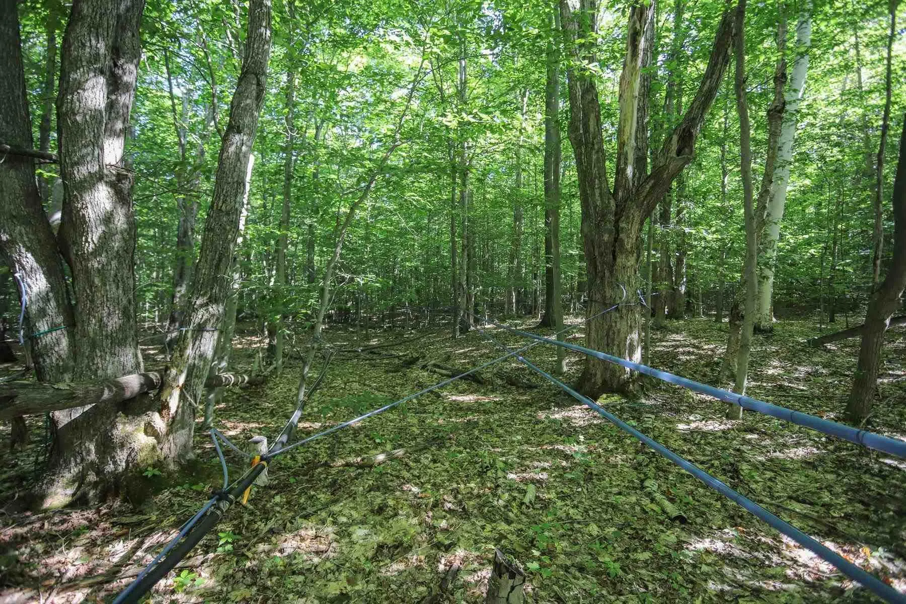 Lot 6 Hilton Road