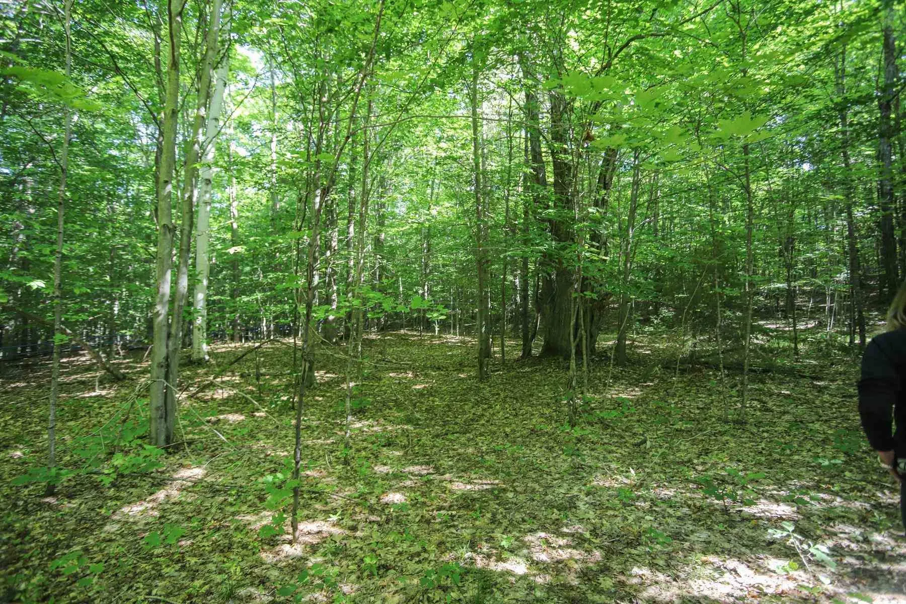 Lot 6 Hilton Road