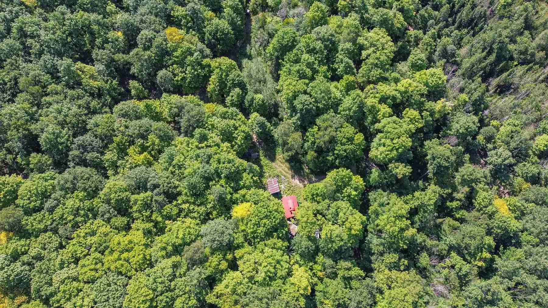 Lot 6 Hilton Road