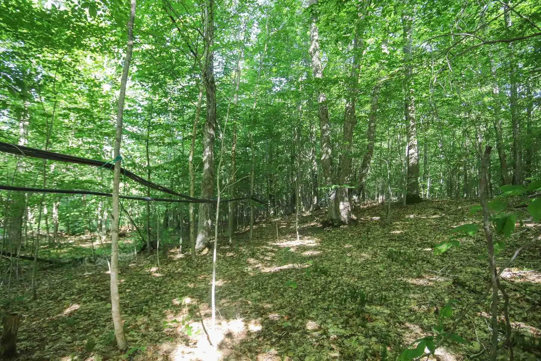 Lot 6 Hilton Road