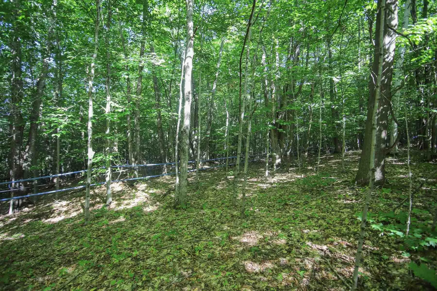 Lot 6 Hilton Road