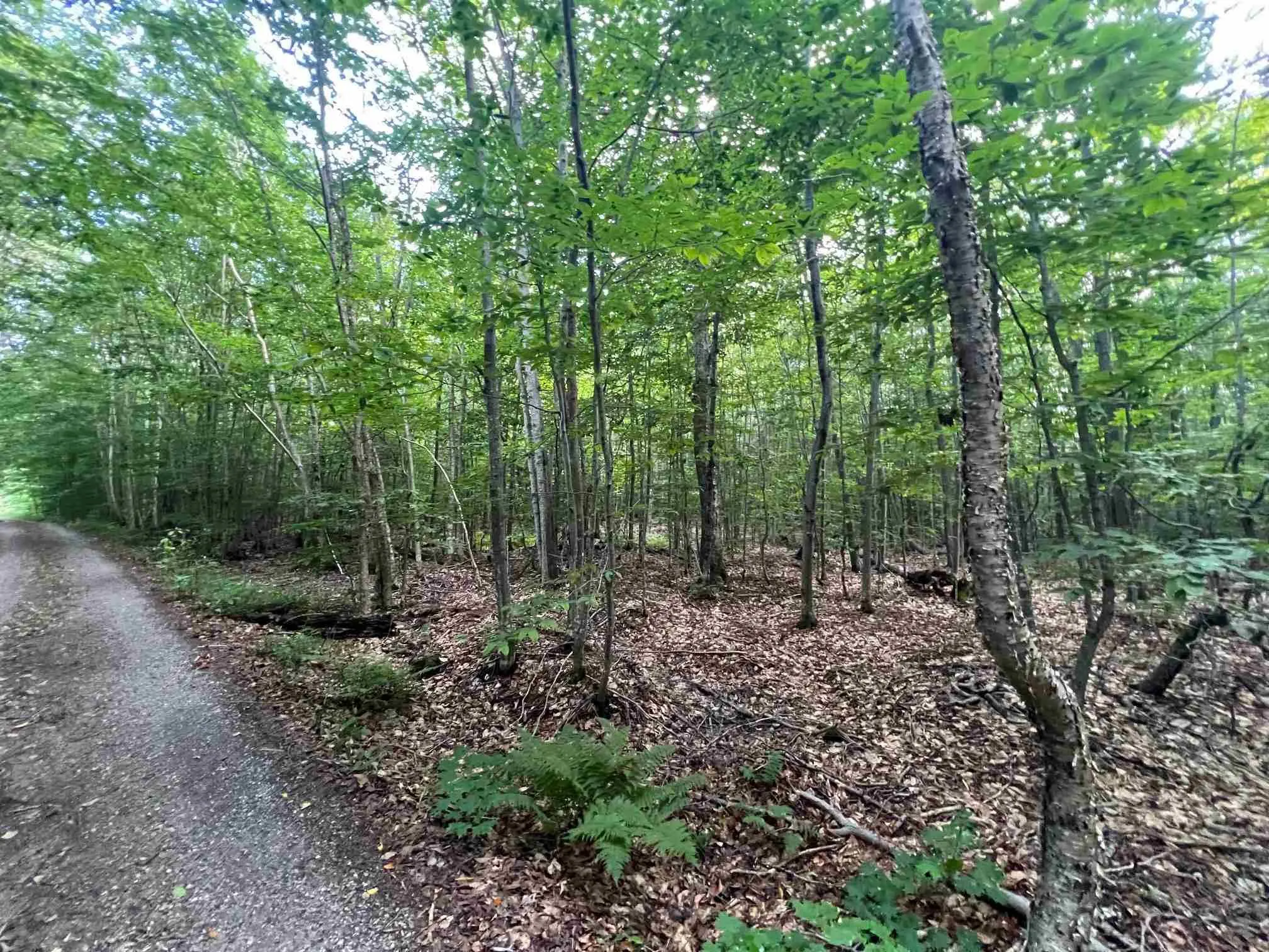 Lot 15 Gordon Road